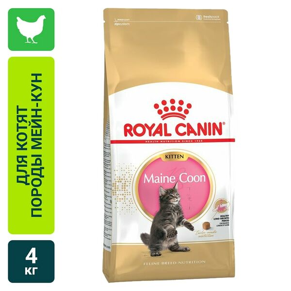 Сухой корм для котят Royal Canin Maine Coon Kitten для породы Мейн-кун 4кг