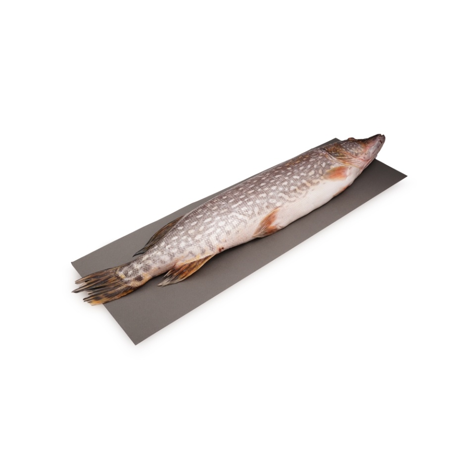 

Щука непотрошеная с головой, Россия