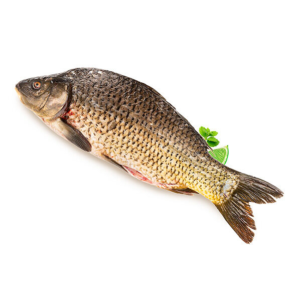 Карп очищенный охлажденный