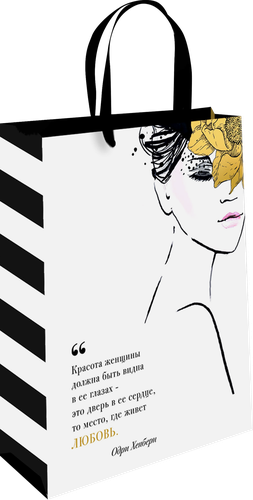 

Сумка Арт и Дизайн премиум АВ в ассортименте