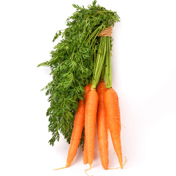 Морковь молодая пучок