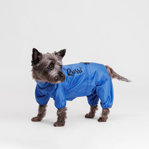 Дождевик для собак, L, василек (мальчик)
