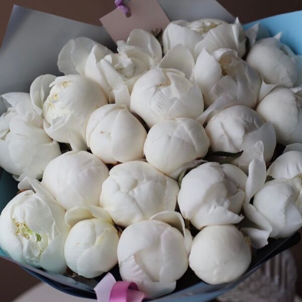 Букет из белых пионов