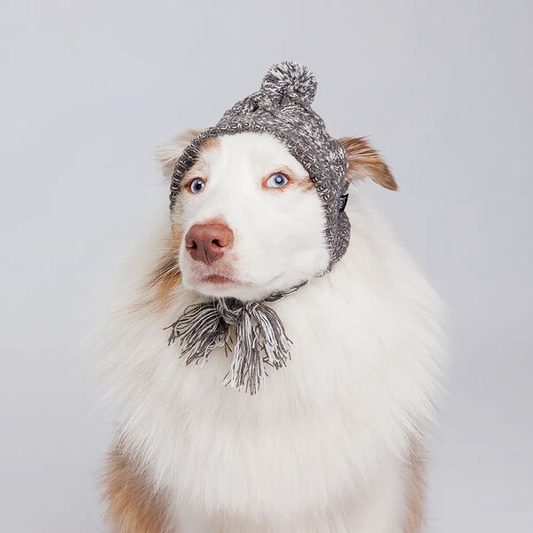 Шапка для собак с завязками серая L