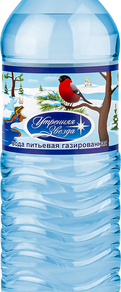 Вода питьевая газированная Утренняя звезда