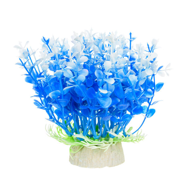 Растение голубое 10*10*12см