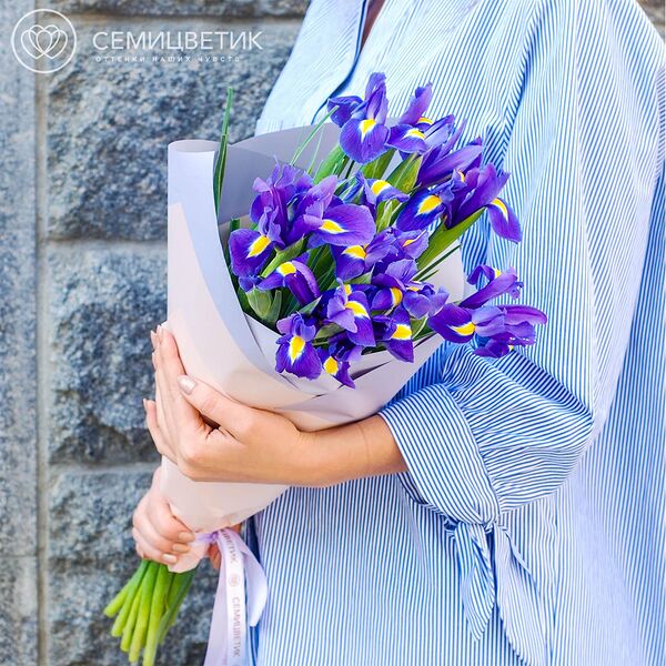 Букет из 15 синих ирисов в сиреневой пленке