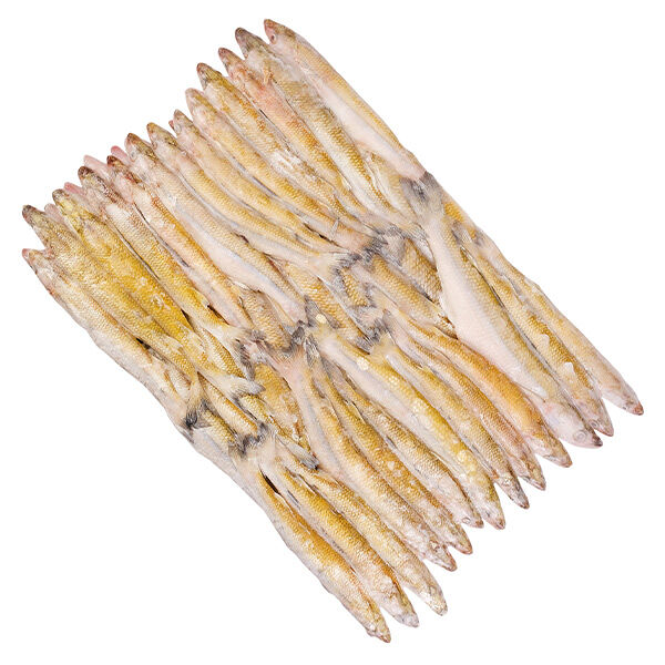 Корюшка дальневосточная замороженная ОПТ