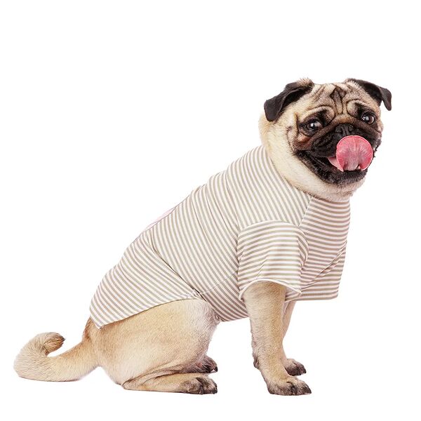 Футболка для собак с лошадкой XL бежевый (унисекс)