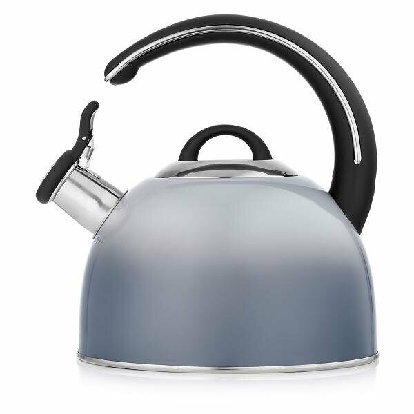 Чайник TalleR TR-11355  2.8 л, нерж. сталь