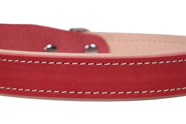 Ошейник НРР 25/3 ПРЕМИУМ красный/беж для собак