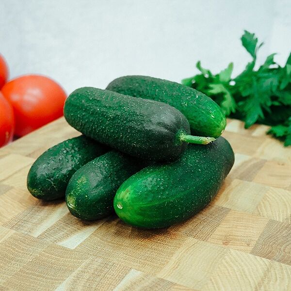 Луховицкие огурцы новый урожай