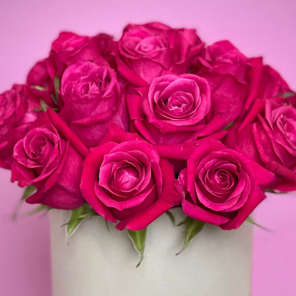 Малиновые розы в шляпной коробке XS