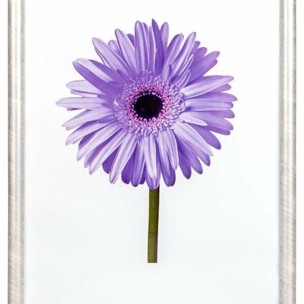 Фоторамка Minni светлое дерево, 21x30 см