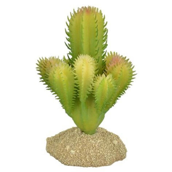 EXOPRIMA Растение для террариума 