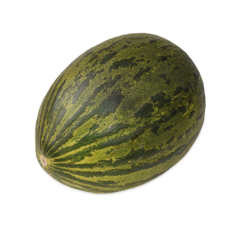 

Дыня Болло Муншайн