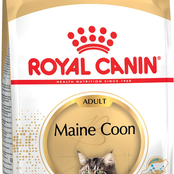 ROYAL CANIN Feline Breed Nutrition Maine Coon Adult корм для кошек породы Мэйн-Кун