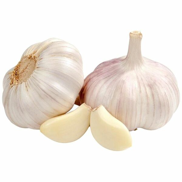 Чеснок свежий