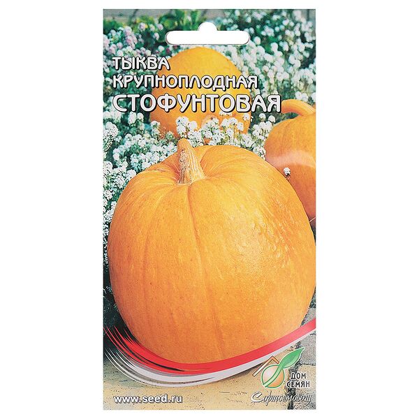 Семена Тыква Стофунтовая