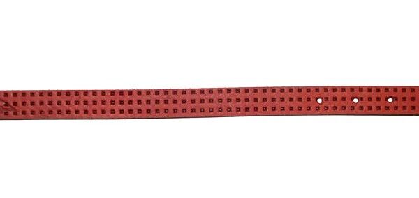 Ошейник для собак мелких пород тиснение красный 22-29 х1,4 см