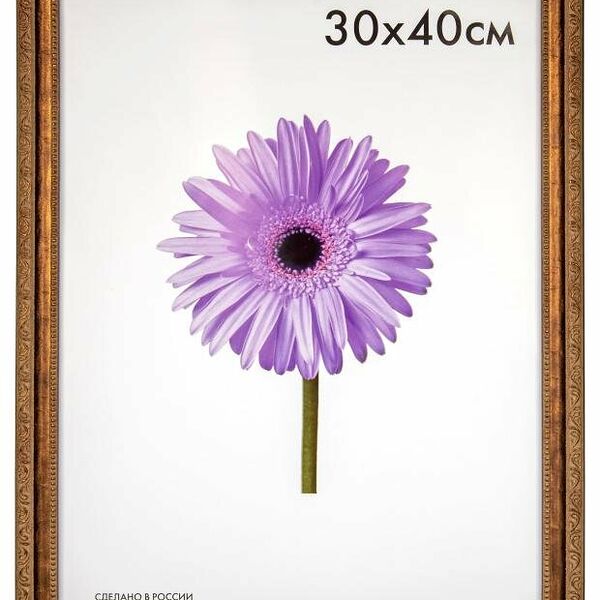 Фоторамка Daniella бронза, 30x40 см