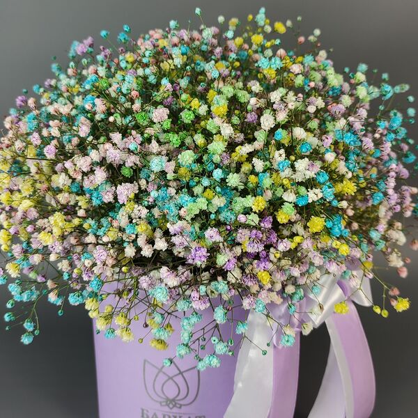 Букет из цветов, монобукет из гипсофил Радуга красок в сиреневом боксе 