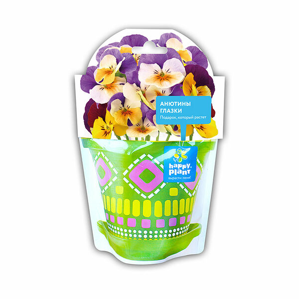 Happy Plant: Анютины глазки (1330231)