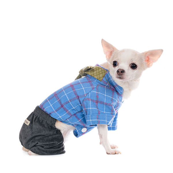 Костюм с галстуком для собак XS голубой (унисекс)