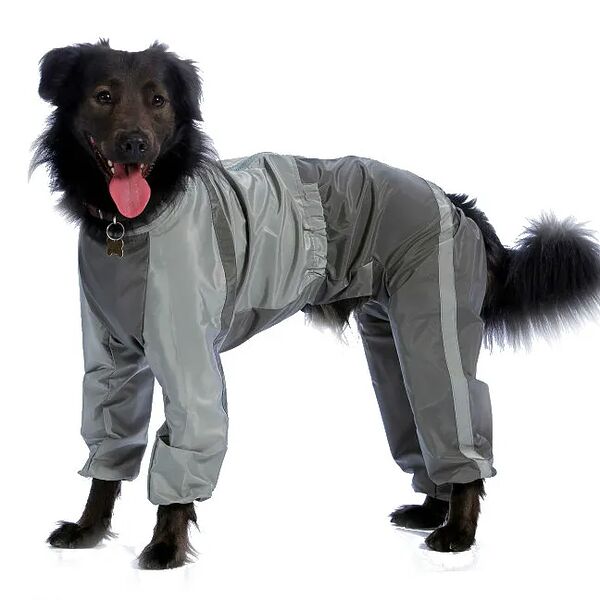 Комбинезон холодный для собак Самоедская лайка 5XL (девочка)