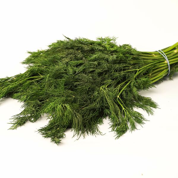 Укроп 1 пучок