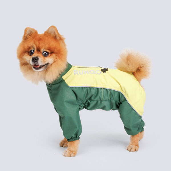 Дождевик для шпица, 30x49x24 см, лимон (мальчик)