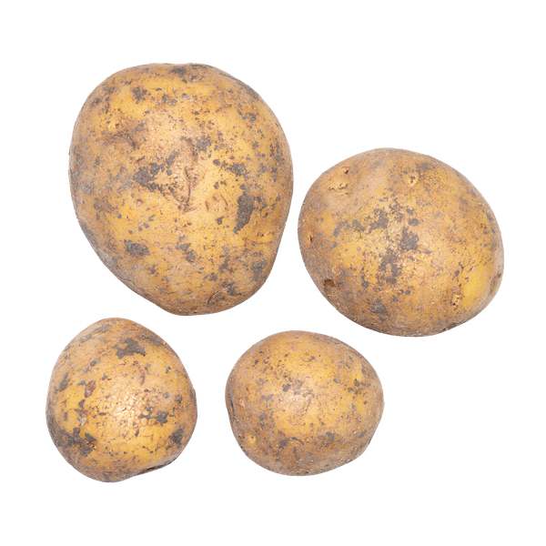 Картофель кг