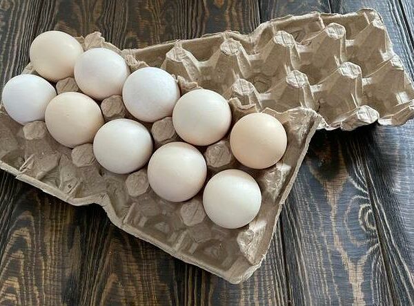 Яйцо куриное (два желтка) 10 шт