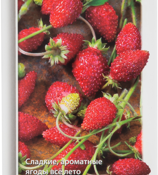 Семена ПОИСК Земляника ремонтантная Руяна, 10шт