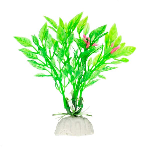 Растение зеленое с цветочками 8см