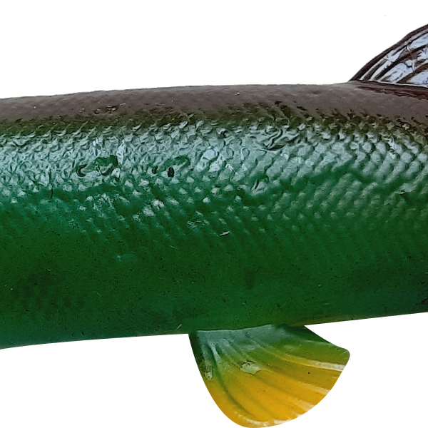 Тянущаяся игрушка МКИ Речные обитатели 18см, в ассортименте