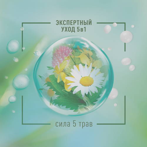 

Шампунь Чистая Линия Сила 5 трав Фитотерапия для всех типов волос 400 мл