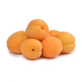 Абрикосы белые гладкие Узбекистан