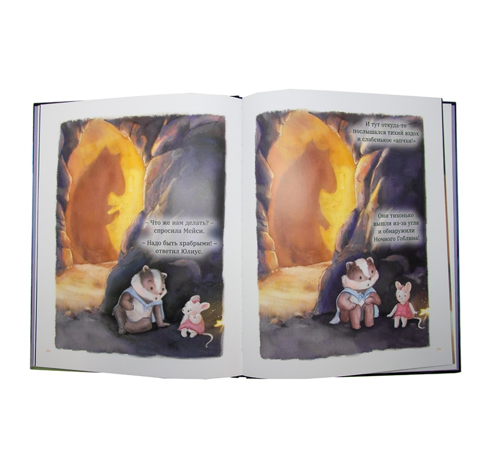 

Книга "Юлиус и Мэйси. Очень храбрая ночь" Гудвин, Россия