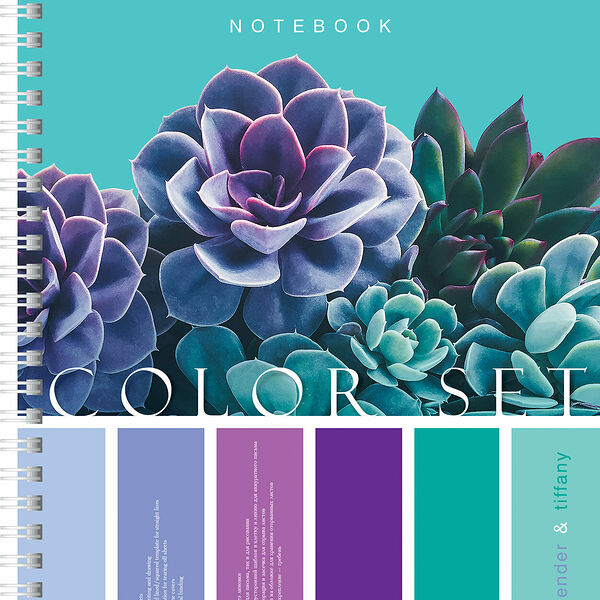 Тетрадь Hatber обложка с карманом А5, 96 листов