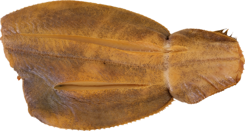 

Палтус Фландерр холодного копчения вес