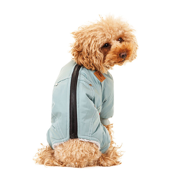 Комбинезон на молнии для собак M зеленый (унисекс)