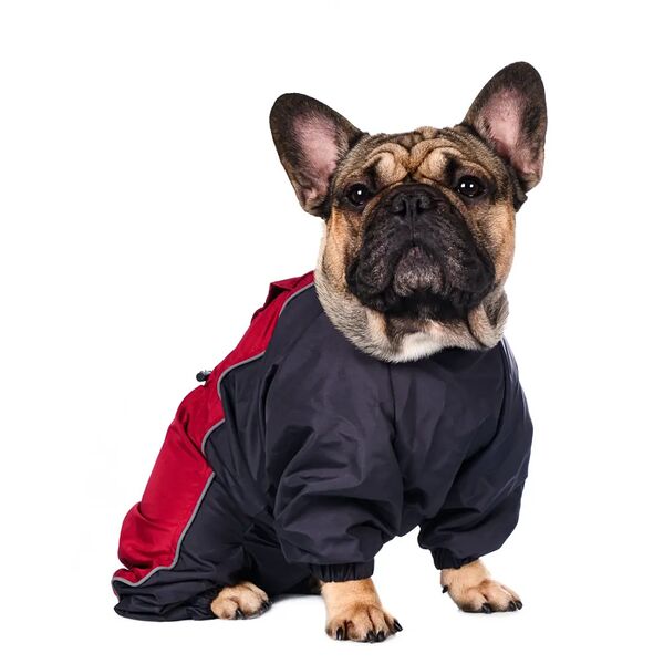 Комбинезон теплый для собак средних пород Французский бульдог 36x46x63см 3XL бордовый (девочка)