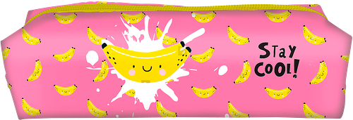 Пенал-тубус SCHOOLFORMAT , 1 секция, прямоугольный, Арт. 237049, ПТП-БГ в ассортименте