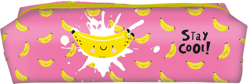 

Пенал-тубус SCHOOLFORMAT , 1 секция, прямоугольный, Арт. 237049, ПТП-БГ в ассортименте