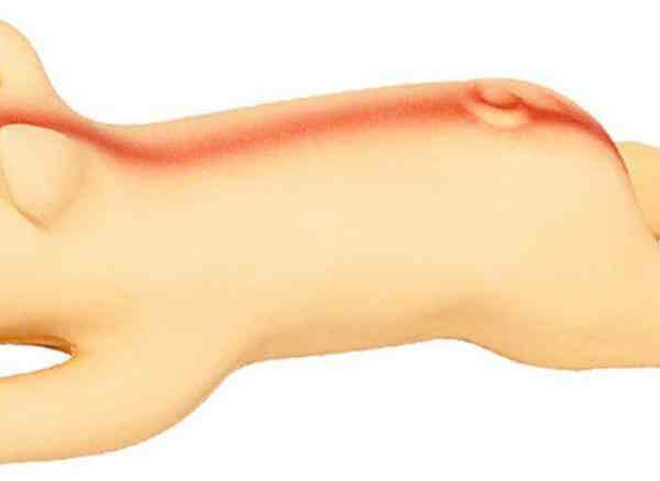 Игрушка для собак Поросёнок Triol маленький, 22 см