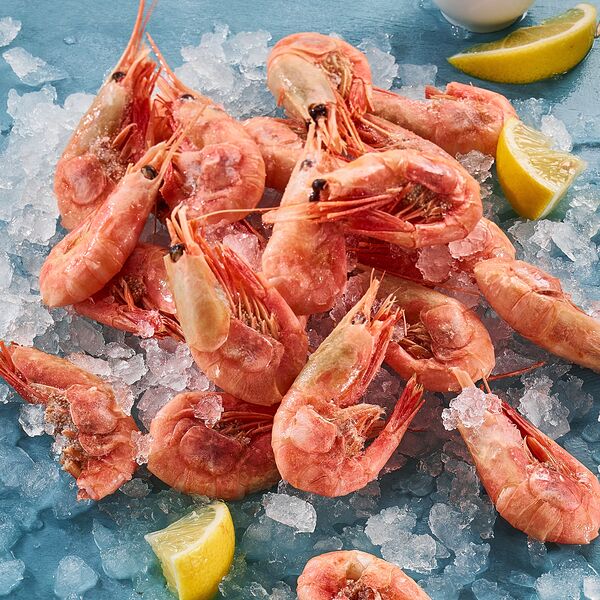 Креветка северная