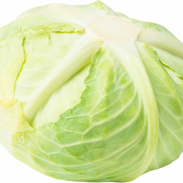 Капуста белокочанная ранняя вес