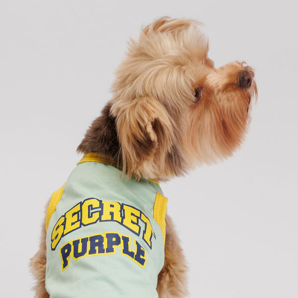 Борцовка Petmax для собак, XS, зеленая