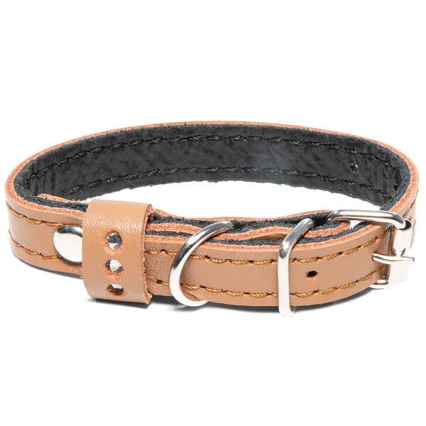 Ошейник для собак Gamma двойной шлевка со стразами в ассортименте 10*200 мм
